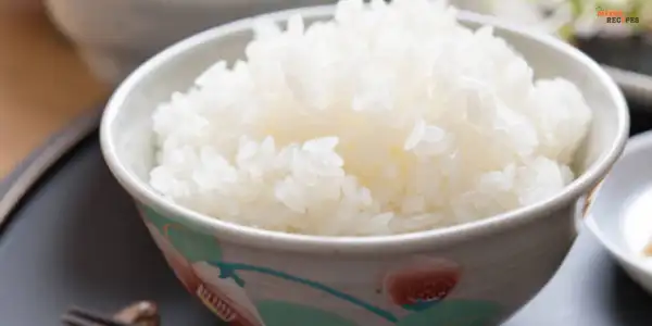 Sushi Rice